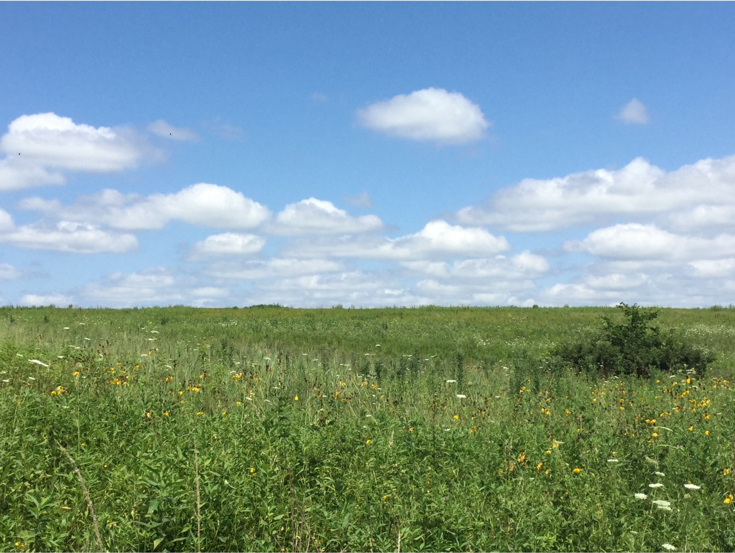 New paper provides national assessment of the Conservation Reserve ...